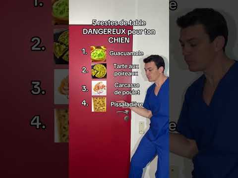 5 plats à éviter pour ton chien #chien #top