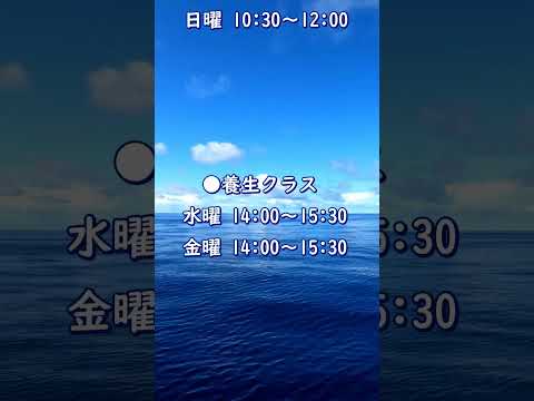 夏の無料体験月間 開催！！