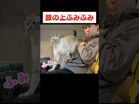 地味にめっちゃ嬉しいやつ