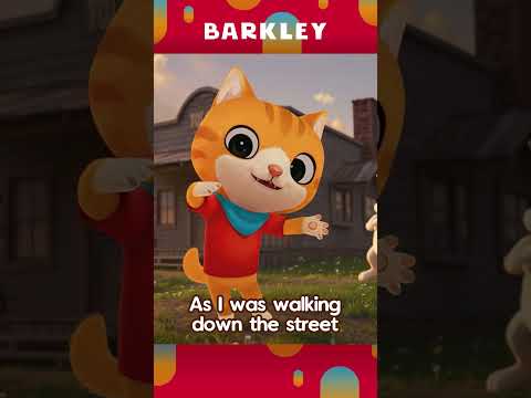 Buffalo Gals - Spin Around ⭐🪗🐱 #Barkley #shorts