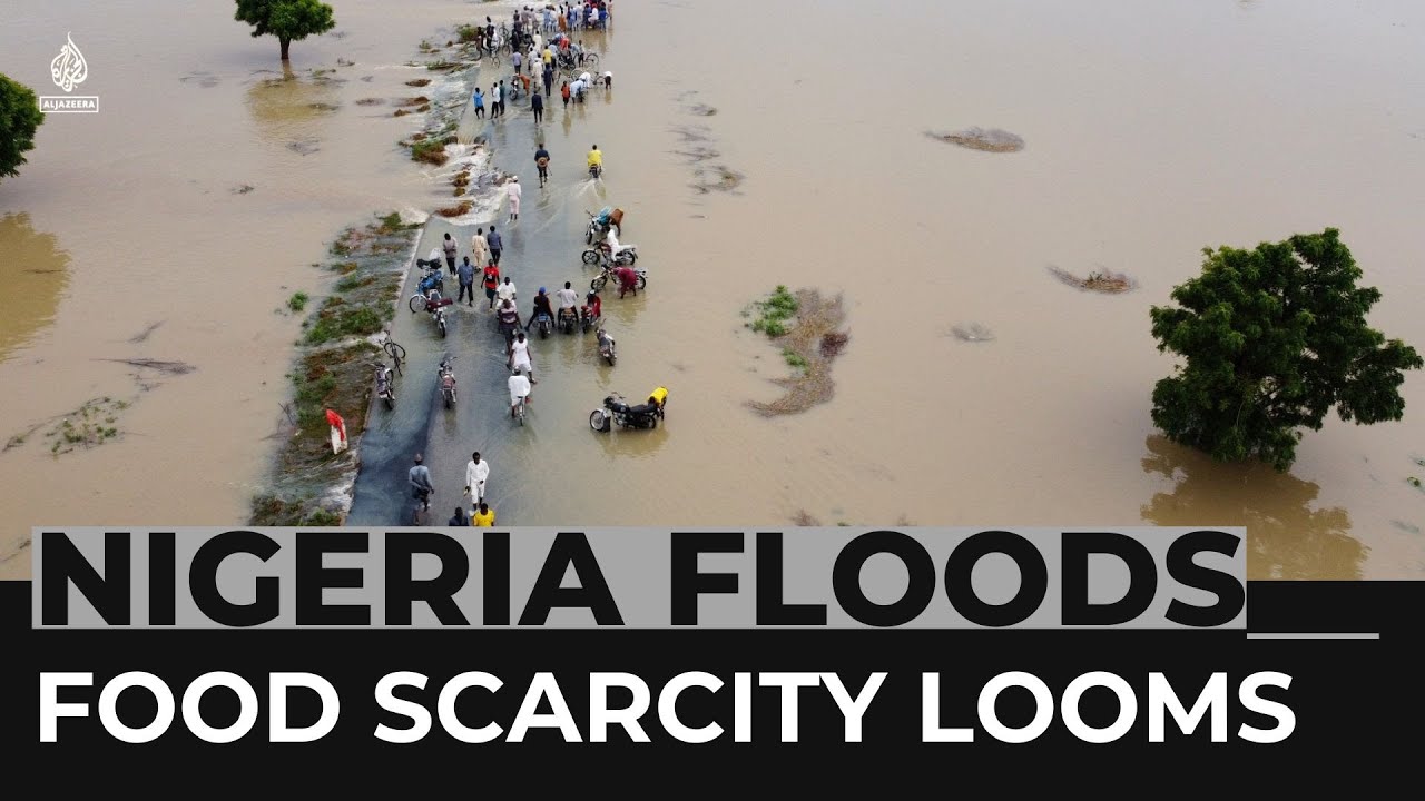 Food scarcity looms in Nigeria as severe floods destroy crops