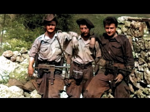 La Pacification - L'Ennemi Intime, Histoire de la guerre d'Algérie