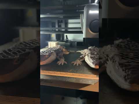 Is this illegal #music #bambulab #3dprinting #toys #smallbusiness