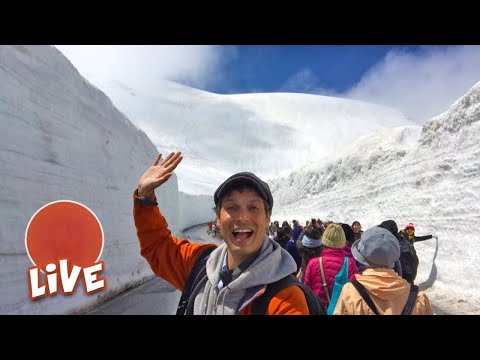 Massive Snow Wall Walk: Tateyama-Kurobe Alpine Route
