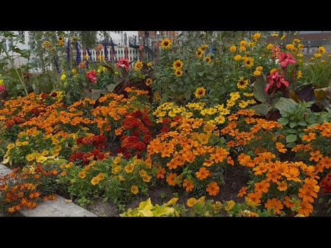 Літо закінчилось. Мої проєкти . 