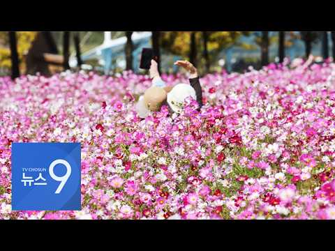 절정으로 치닫는 가을 보러 '북적북적'…이번주 일교차 최대 17도 [뉴스9]