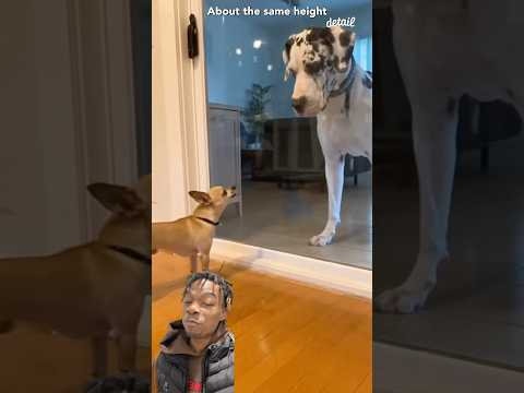 He thought they was the same height💀