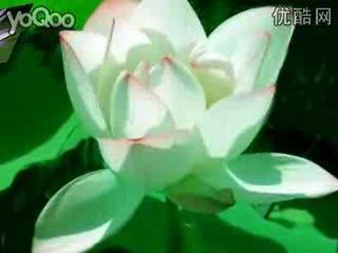 Beautiful Buddhist Music_云水禅心