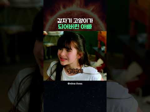 갑자기 <strong>고양이가</strong> 되어버린 아빠