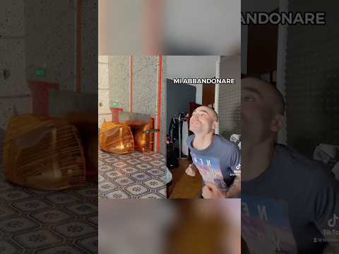 SCUSA MAMMA POR MI VIDA LOCA😏 tagga il tuo amico gangstar 😈