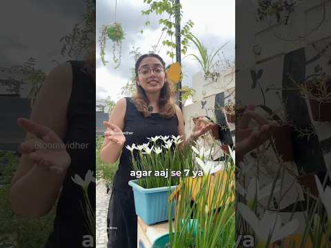 How I Grow Fruit Plants on Terrace 🌱 | Guava, Mango, Orange & More | Farming Nursery Review #shorts