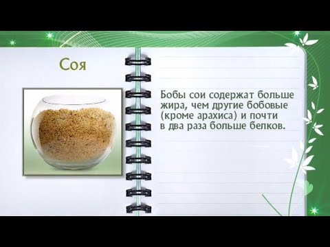 Кулинарная энциклопедия - Соя - UC7XBjhXnmmXFsxmnys9PmDQ