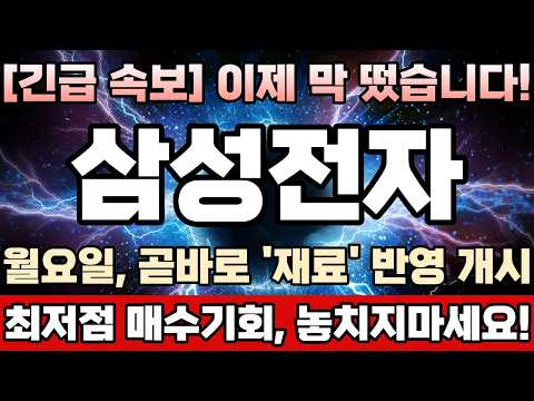 [삼성전자 주가전망][긴급] 연속폭락패닉셀에 반대매매신용물량 싹다 튀어나왔다! 딱한번 주식싸게 살수있는 최저점구간 진입! 여기서 한번만 주식잘사놓으면, 30만전자까지 한번에튑니다!