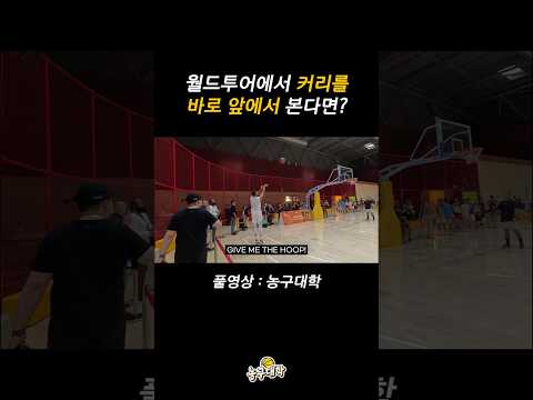 스테픈 커리 직관 간접 체험