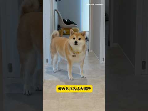 原神のコスプレとコラボイベントの魅力を紹介 サムネイル