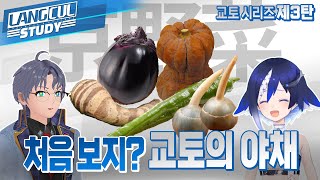 【SeeHa】못난이 채소가 아니에요! 교토의 전통채소 교야사이(京野菜) | 교토 시리즈 3탄 with 세나 아이미 [#교토먹거