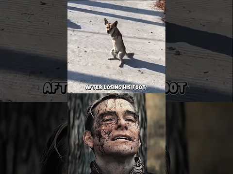 Dog sad moment 😢💔 ( TRAUMA ) #shorts #shortsfeed #shortvideo #short #dog #sad #fyp #fypシ