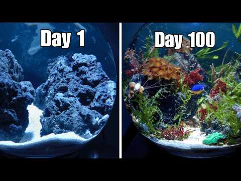I MADE A NANO REEF BOWL AQUARIUM WITHOUT A FILTER! Setting up a reef tank is a lot easier than most people think, today I'll show you how to make an ea