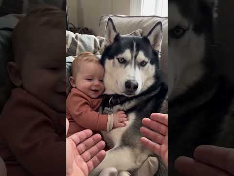Dog and Baby Cheek-to-Cheek 🥰 Leonard Hugs Sheldon Tight