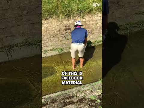 Putt it somewhere else 😂 #golf #funny #fail