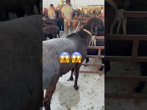 #рекомендации #рек