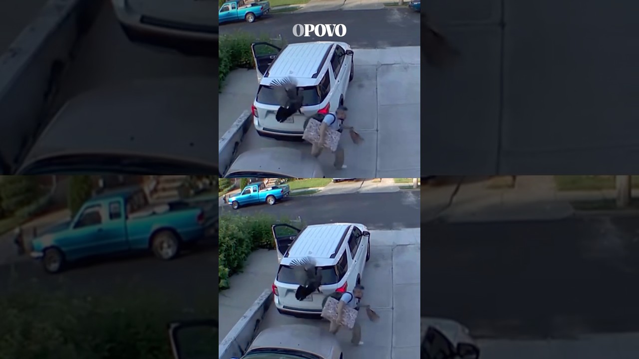 Homem é atacado por peru furioso na entrada de casa nos EUA shorts shortvideo viral video
