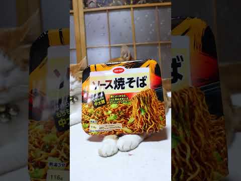 猫の動画サムネイル - CO・OP ソース焼そば 　250508　#のせ猫　#ねこ #cat #ねこ #ネコ #猫のいる暮らし　#焼きそば #cute #猫のいる生活