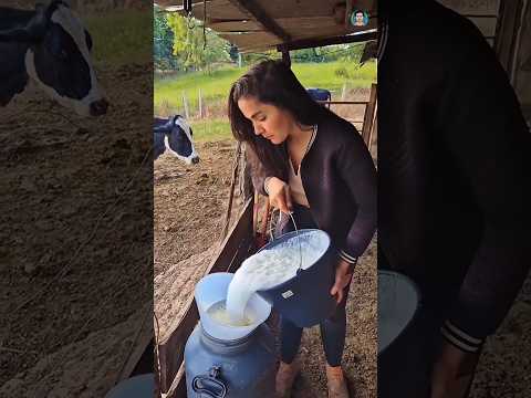 Why American milk banned 🛑#short