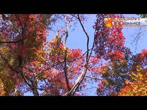 【紅葉】秋景色広がるいなべ市・聖宝寺