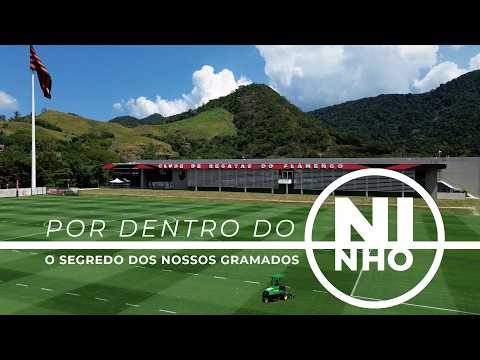 O SEGREDO DOS NOSSOS GRAMADOS - POR DENTRO DO NINHO EP. 02