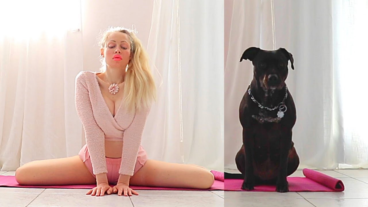 Yoga and Stretching Art — My Puppy Always Happy to Join