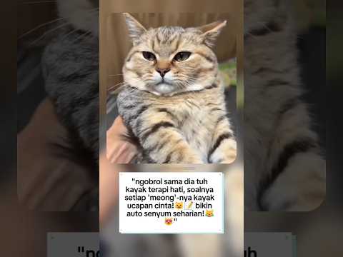 💕"denger suara kucing ini auto meleleh~😻✨"