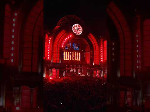 DANZA KUDURO 🤩🔊 #festival #electronicmusic #remix #rave #edm #shorts #wandw #wandwmusic