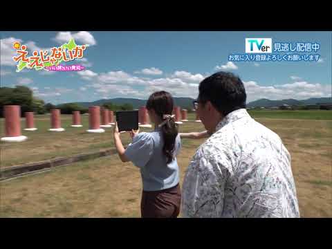 新・ええじゃないか～いい旅 いい発見～ 2026年9月14日放送