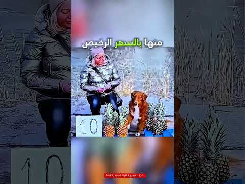 كلب أذكى من الجميع…!#shorts #shortvideo #shortsfeed #اسلاميات