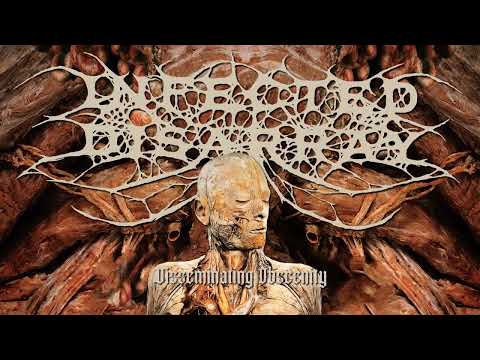 Infected Disarray - Disseminating Obscenity (Official Stream)