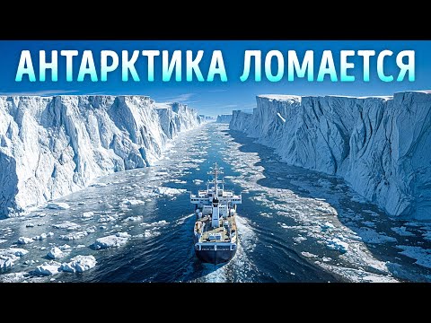 Ученые, наконец, объяснили эти жуткие звуки океана