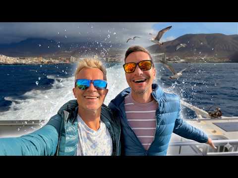 Переезжаем 🛳️