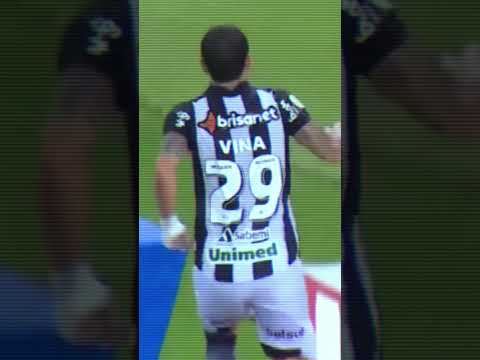 image para ilustrar o artigo