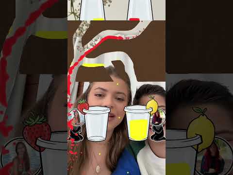 14 de fevereiro de 2026