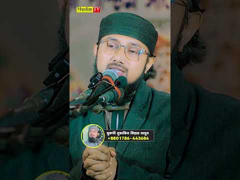 তিনটি লক্ষণ দেখলে আপনি বুঝবেন আপনি সঠিক পথে আছেন ।