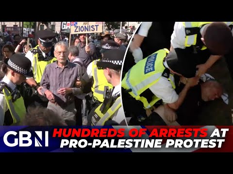 HUNDREDS of arrests made as pro-Palestine protests 'kick off' in London