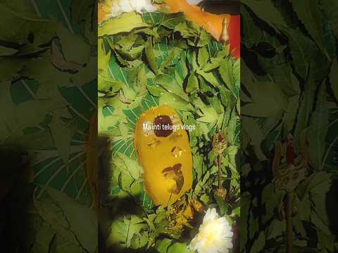 అమ్మకు యెన్ని రూపాల్లో అన్నీ కళ్ళు 🙇♀️🌿#trending #ytshorts #viral #shots #amma #durgapuja#navaratri