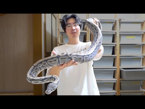デカすぎる
