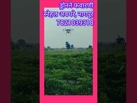 ड्रोनने शेतात फवारणी #shorts #ytshorts #trending #short #youtubeshorts #youtube.