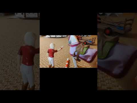 Entraînement avec Dior et son poulain