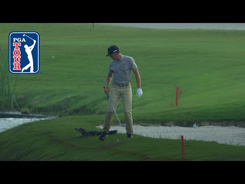 Cameron Champ's approach shot with gator looming at Zurich Classic