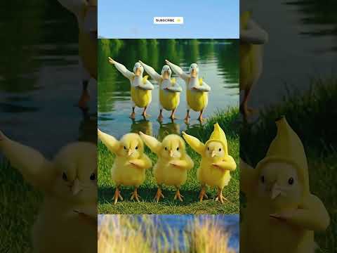 Cute chick dance 🥰#dance #cute #babydance #dancevideo #shortsvideo #shorts #baby #arts_forever