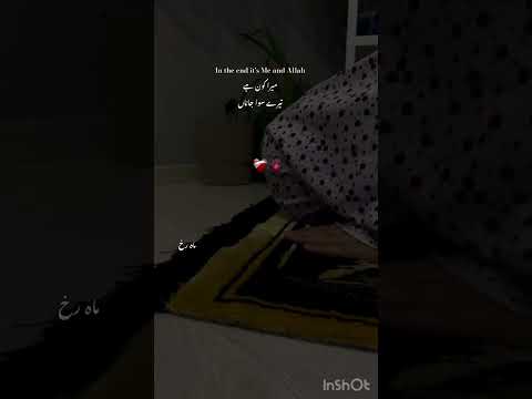 Lamyate Nazeerok Nee #shortvideo #mahrukh000 #naat #growmyaccount #trending #viral#allah