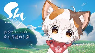 【Sky-星を紡ぐ子どもたち】しんやおさんぽ